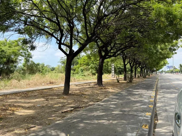 En Alquiler Terreno 15.000 m² - Autopista Narcisa de Jesús. Guayaquil, Guayas — imagen 4
