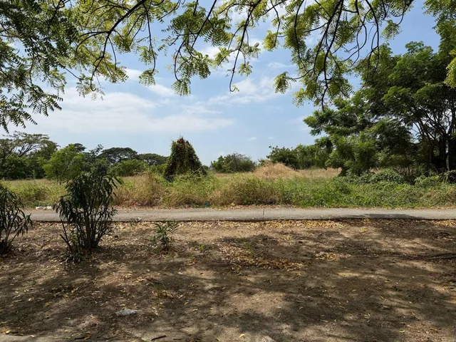 En Alquiler Terreno 15.000 m² - Autopista Narcisa de Jesús. Guayaquil, Guayas — imagen 2
