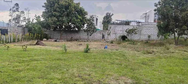Venta o Renta Terreno Nayon Inchapicho — imagen 5