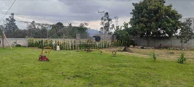 Venta o Renta Terreno Nayon Inchapicho — imagen 3