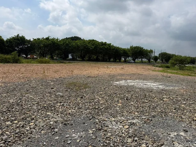 Terreno en Venta 83,89 Hectáreas, Km 17 Vía Durán Boliche, Guayas — imagen 2