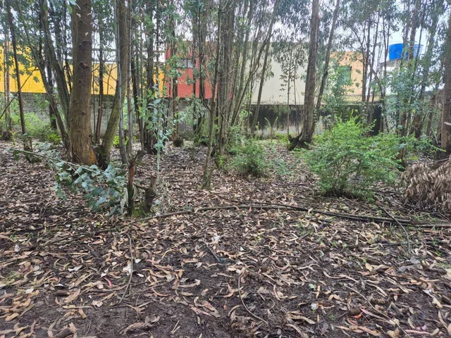 Terreno en Venta Sector Conocoto — imagen 4
