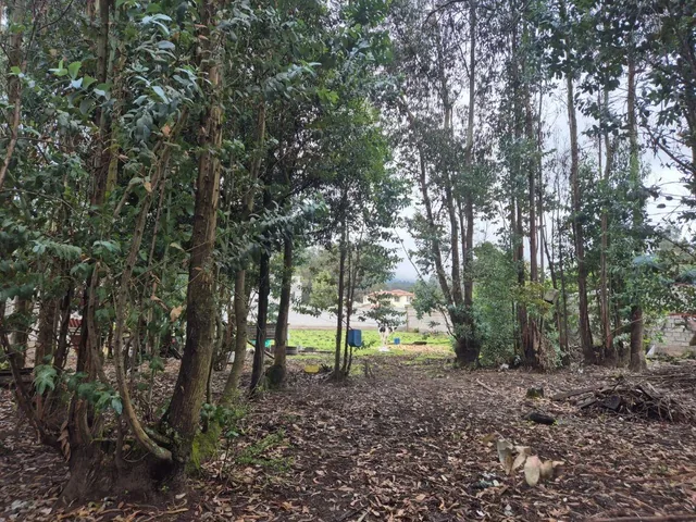 Terreno en Venta Sector Conocoto — imagen 3