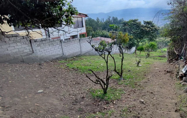 Venta Terreno Tumbaco 1090 m² Comuna Leopoldo Chávez — imagen 2