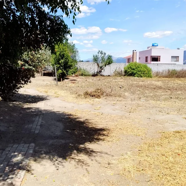 Terreno en Venta en Tumbaco – Sector Santa Rosa | 4.149 m² — imagen 4