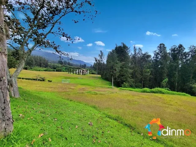 Terreno Venta La Armenia, Ideal Para Lotización Y/o Proyecto Vivienda. Provincia de Pichincha — imagen 3
