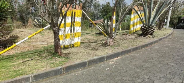 Terreno en Cumbayá — imagen 2