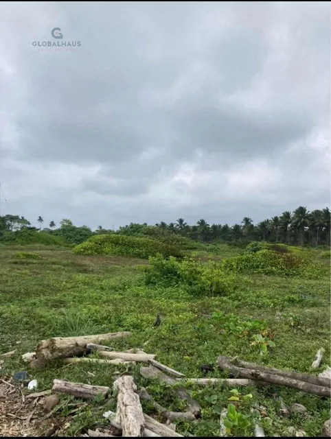 Venta Terreno en La Playa Muisne Esmeraldas, 3.5 Ha, P. C. Provincia de Esmeraldas — imagen 2