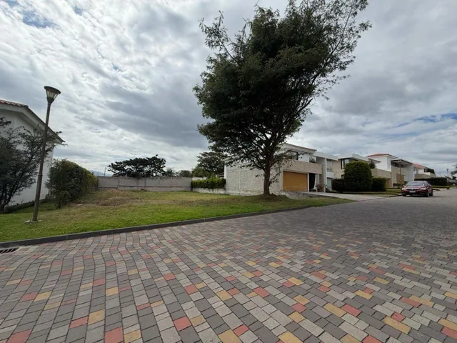 "último Lote Disponible en San Antonio de Arrayanes – Puembo 620 M²" — imagen 3