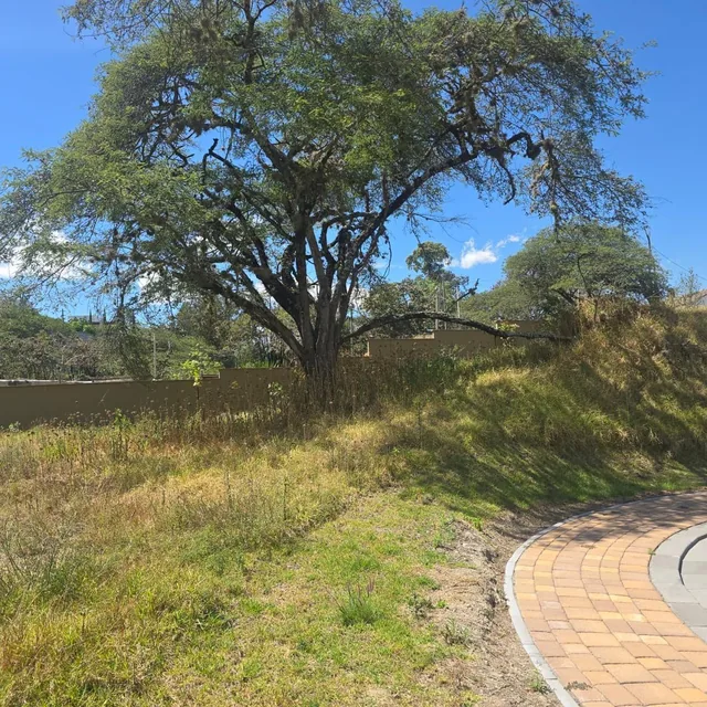Terreno Venta Riel de La Viña — imagen 4
