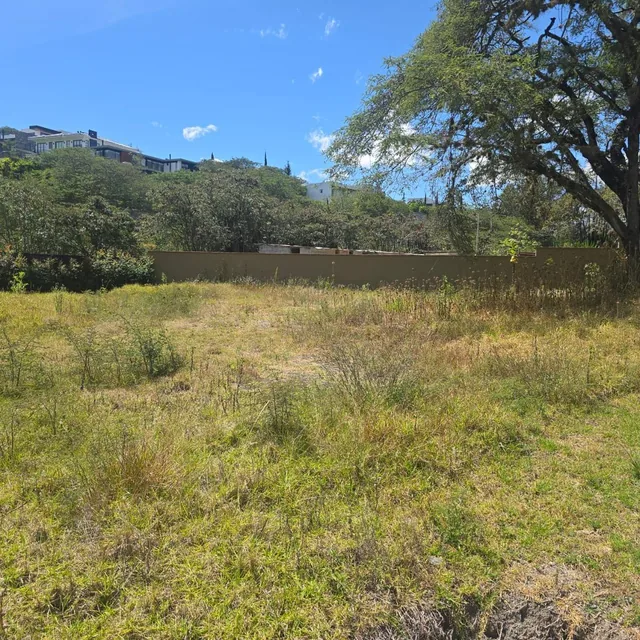 Terreno Venta Riel de La Viña — imagen 2
