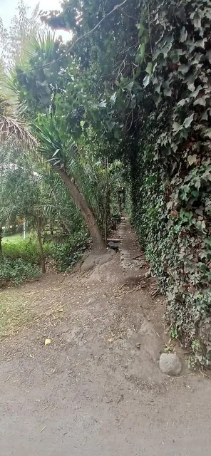 Terreno de Venta en Tumbaco Ideal Para Constructores — imagen 3