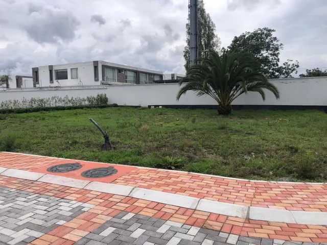 Vendo Terreno Esquinero 516 m² Plano Santa Rosa — imagen 5
