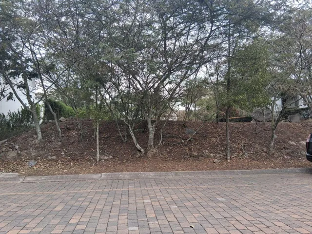 Vendo Terreno La Viña 1.000 m² Hermoso — imagen 5