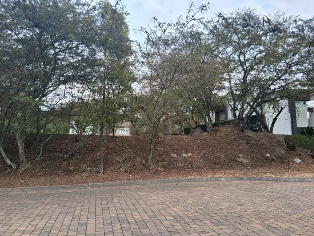 Vendo Terreno La Viña 1.000 m² Hermoso — imagen 4