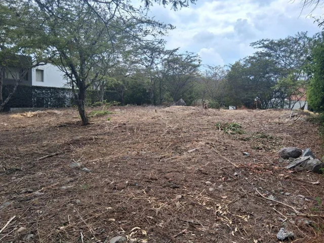 Vendo Terreno La Viña 1.000 m² Hermoso — imagen 3