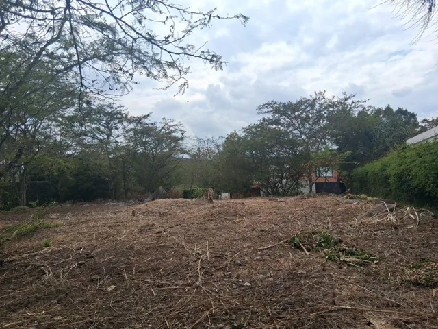 Vendo Terreno La Viña 1.000 m² Hermoso — imagen 2