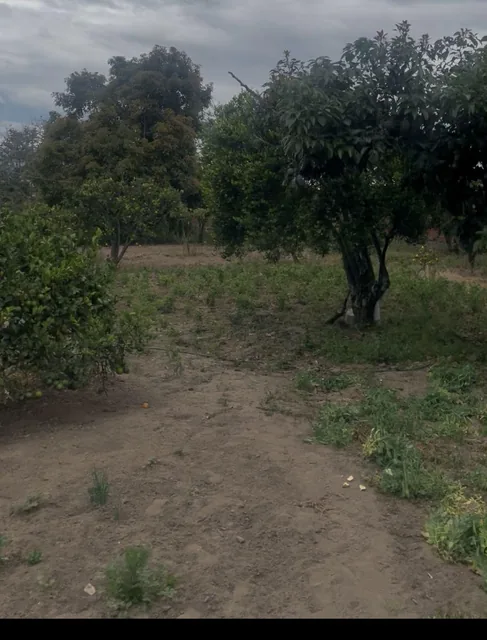 Terreno de 5000 m² en Venta en Tumbaco — imagen 4