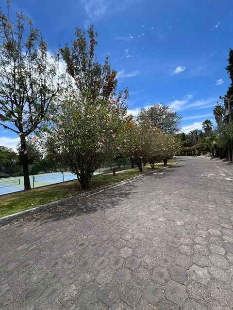 Vendo Hermoso Terreno Cumbaya Frente a un Parque Urb Cerrada Los Eucaliptos — imagen 4