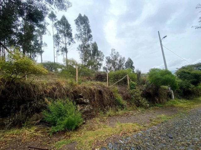 Terreno de Venta Tumbaco 4.000 m² $650.000 — imagen 5