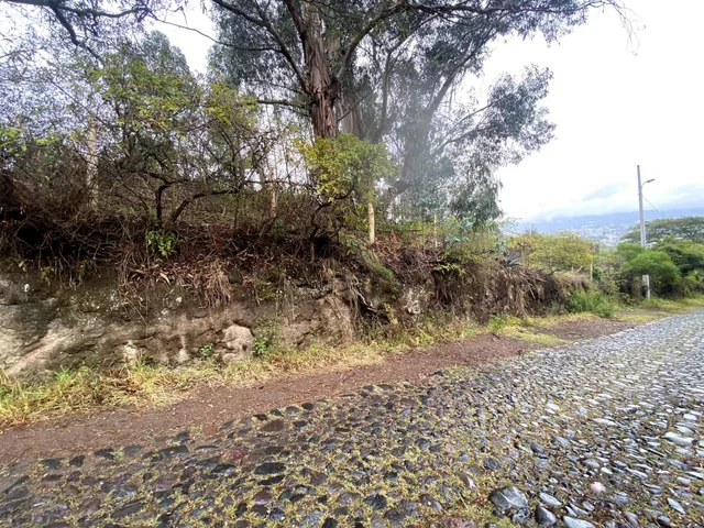 Terreno de Venta Tumbaco 4.000 m² $650.000 — imagen 2