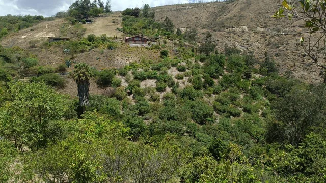 Vendo Terreno 20.000 m² Guayllabamba — imagen 5