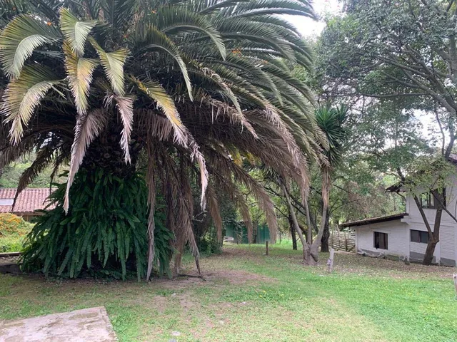 Terreno de 5.800 m² con Construcciones en La Cerámica – Tumbaco — imagen 5