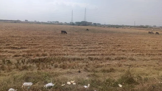 Venta de Solar Comercial E Industrial en Avda. Samborondon Km 16,5, Guayas — imagen 4