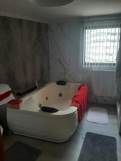 Hermoso Penthouse Excelente Vista Parque La Carolina — imagen 4