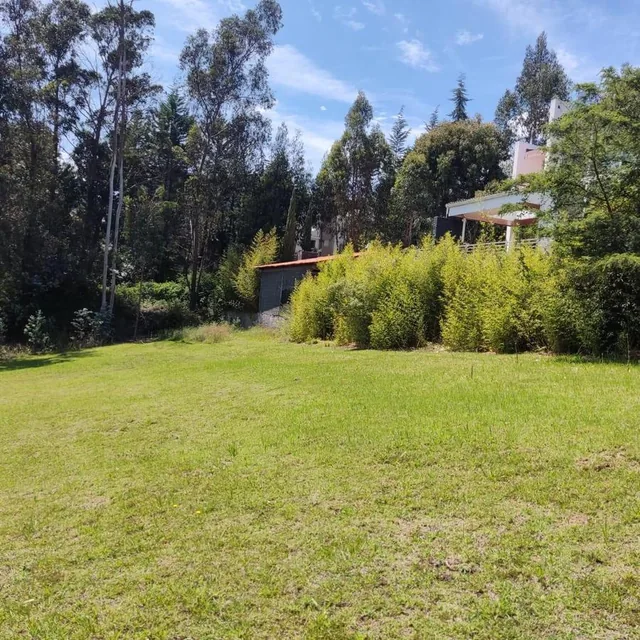 Venta de Terreno en Urbanización Sector San Juan Alto — imagen 5