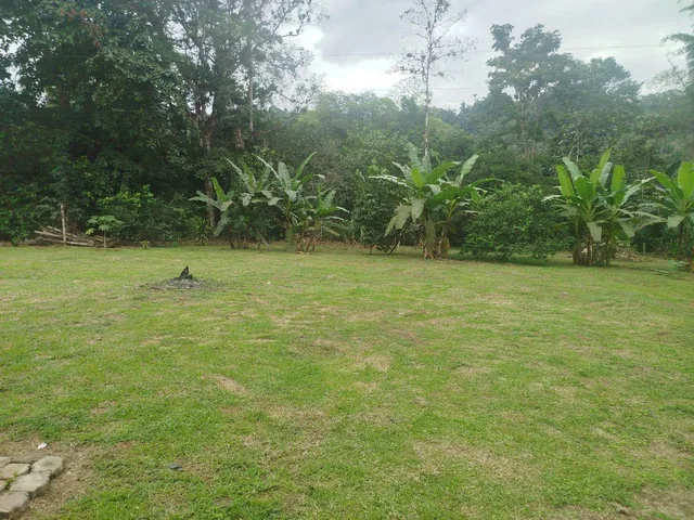 Venta de Hermosa Quinta Junto Al Rio Caoni, Planita — imagen 4