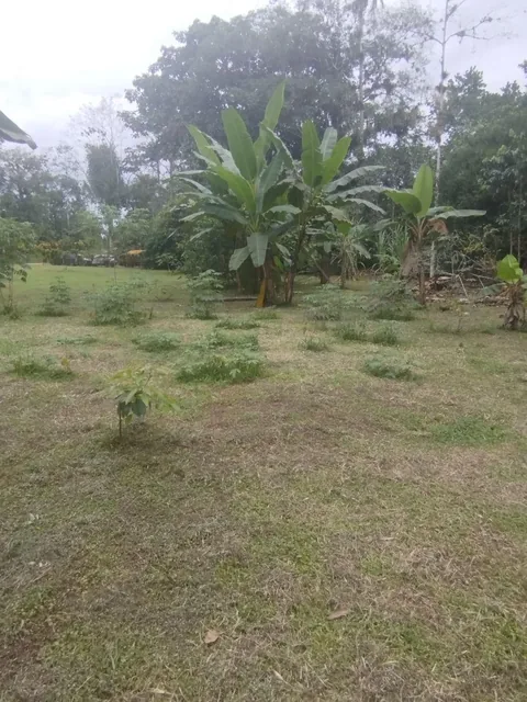 Venta de Hermosa Quinta Junto Al Rio Caoni, Planita — imagen 2