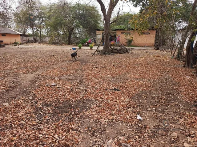 Venta de Terreno en Chongón, 5376 m² G. P, Guayas — imagen 4