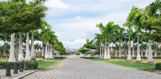 Increible Terreno en Aires Norte, Guayas — imagen 4