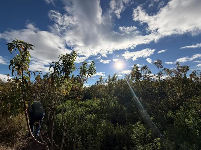 Patate - Terreno Yamate, Tungurahua — imagen 3