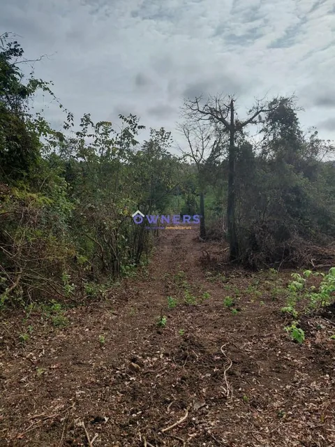 Venta Macrolote Vía a La Costa Recinto Consuelo (Db), Guayas — imagen 5