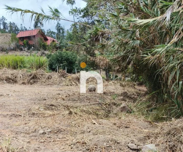 Terreno Plano de 3.200 m² en Venta en Javier Loyola, Cerca de La Unae — imagen 4