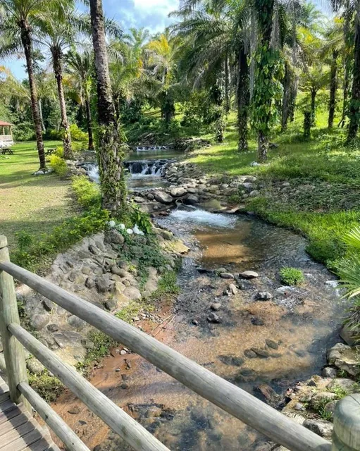 Venta Terreno Noroccidente de Quito en Puerto Quito Dentro de La Urbanización El Manantial — imagen 4