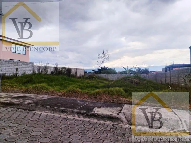Terreno en Venta Dentro de Urbanización Sector El Colibri — imagen 5