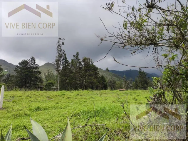 Terrenos de Venta en Azuay Zona Residencial, Sector Cachiloma, Azuay — imagen 3