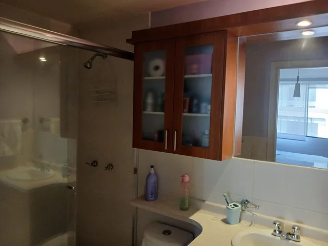 Vendo Lindo Dpto 3 Dorm. Bellavista Baja — imagen 3