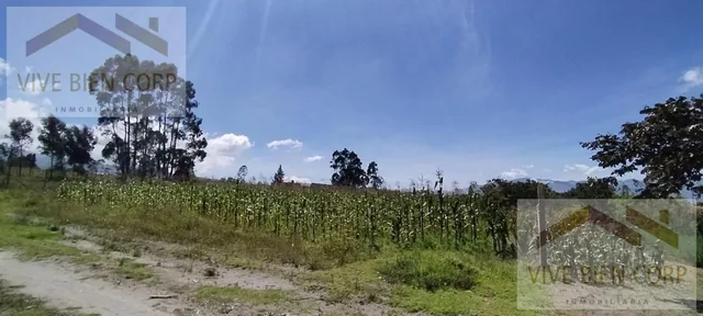 Terreno Esquinero de Venta en Malchingui — imagen 5