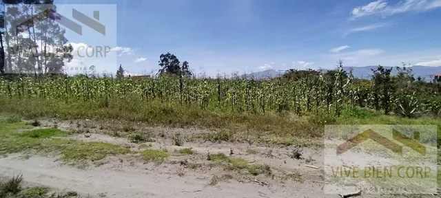 Terreno Esquinero de Venta en Malchingui — imagen 4