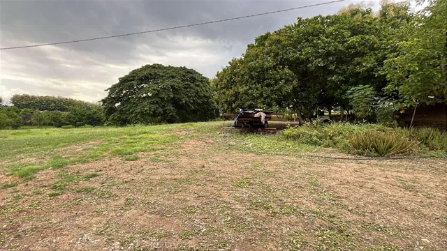 Terreno en Venta 83.800 m² - con Plantación de Teca, Vía a La Costa Km 26 - Pasando El Peaje, Guayas — imagen 4
