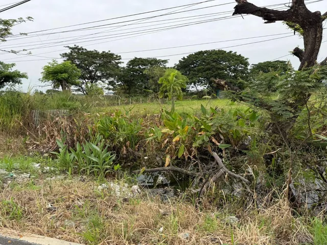 Terreno en Venta 16.400 m² - Av León Febres Cordero - La Aurora - Daule, Guayas — imagen 2