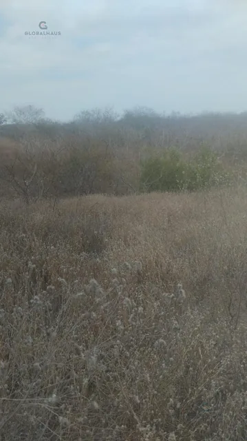 Venta Terreno, Sector Los Gavilanes, Manta, P. C. Manabí — imagen 4