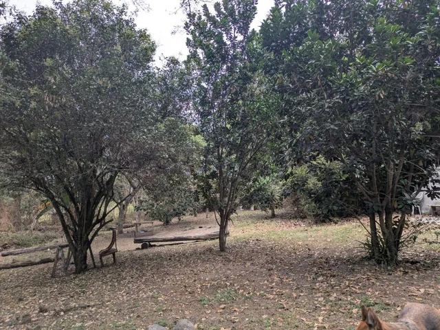 De Venta Terreno – Sector Tumbaco Cerca a Chaquiñan — imagen 5