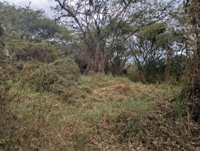 De Venta Terreno – Sector Tumbaco Cerca a Chaquiñan — imagen 4