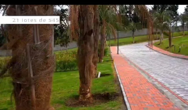 Terrenos de Venta Puembo Alto/ Cerca Colegio Einstein, Americano — imagen 3