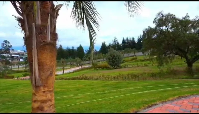 Terrenos de Venta Puembo Alto/ Cerca Colegio Einstein, Americano — imagen 2